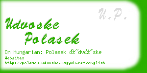 udvoske polasek business card